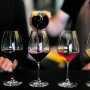 “De la uva a la copa”: llega a Tucumán una expo de vinos