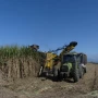 Tres hombres fueron acusados de cometer estafas por más de $136 millones en Concepción