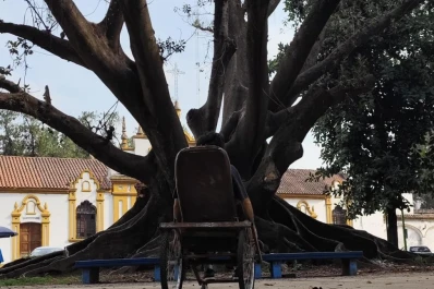 Sigue “Micromonólogos”, desde el Museo de la UNT