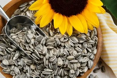 Cuál es el alimento rico en magnesio que ayuda a combatir el insomnio y tener energía