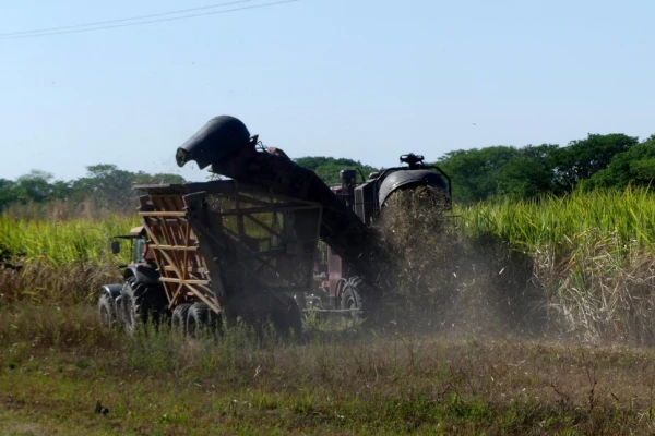 Más producción, menor consumo e incógnitas sobre exportaciones, según un informe privado