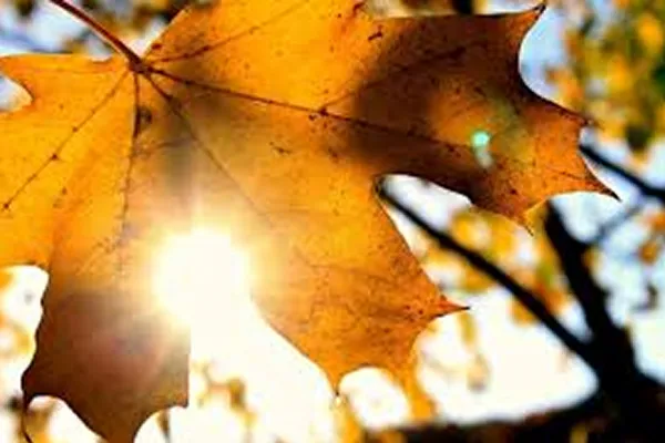 600x400_a-guardar-abrigos-pesados-se-aproxima-trimestre-temperaturas-calidas-1085843-124139.webp