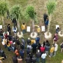 La Estación Experimental presentó la nueva variedad de caña de azúcar: la TUC 08-10