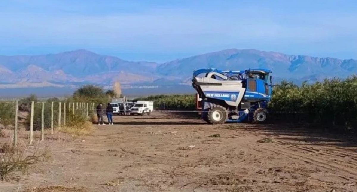 San Juan: un hombre murió aplastado por una cosechadora de aceitunas