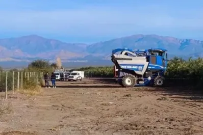San Juan: un hombre murió aplastado por una cosechadora de aceitunas