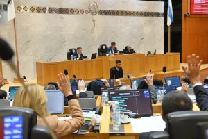 La Legislatura repudió el ajuste nacional en el sector de discapacidad