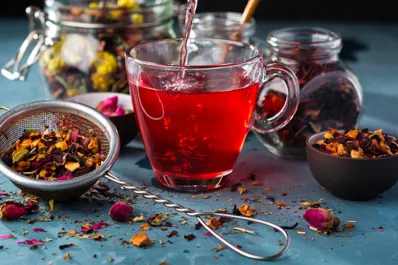 Las 10 infusiones naturales más recomendadas para fortalecer el cuerpo y la mente