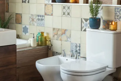 ¿Cuáles son las cinco cosas que nunca deberías tener en el baño?