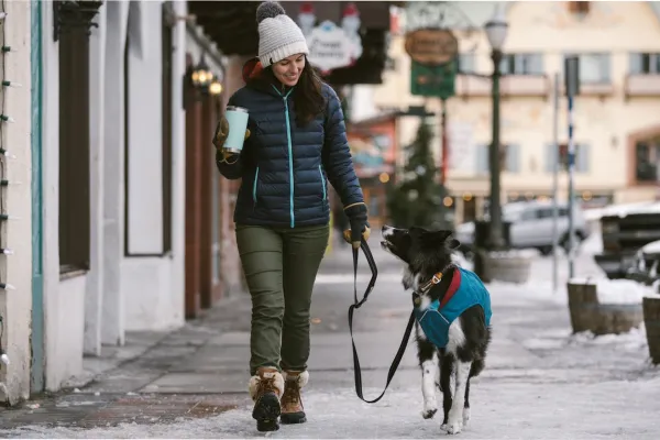 ¿Cuándo es demasiado frío para sacar a pasear a un perro?