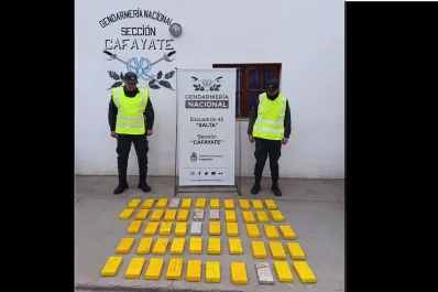 Cafayate: dos personas tenían 54 kilos de cocaína en el auto