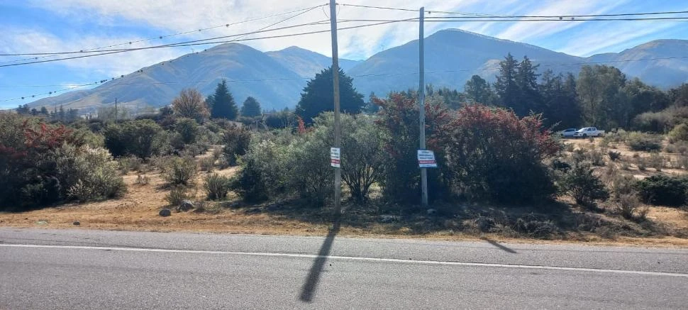 ESPACIO VERDE. El juez de paz, Juan Vicente, constató el proceso. 