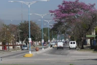 Drogas en Alberdi: “Se necesita un Al Capone para gobernar, no un Lassie”