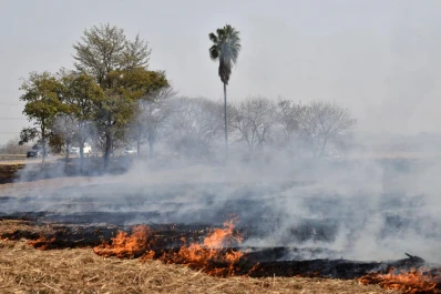 La quema de caña ya no tiene justificación técnica ni productiva en la provincia