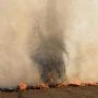 Eliminar la quema en los cañaverales