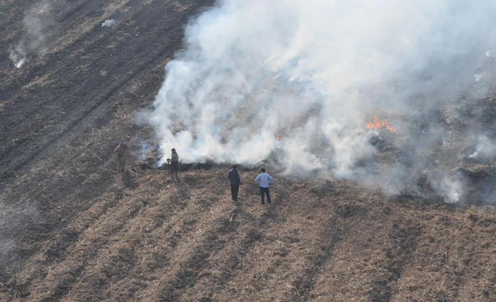 REFERENCIAS. La Eeaoc ha publicado un informe sobre la situación de la quema de caña de azúcar en Tucumán durante 2024.