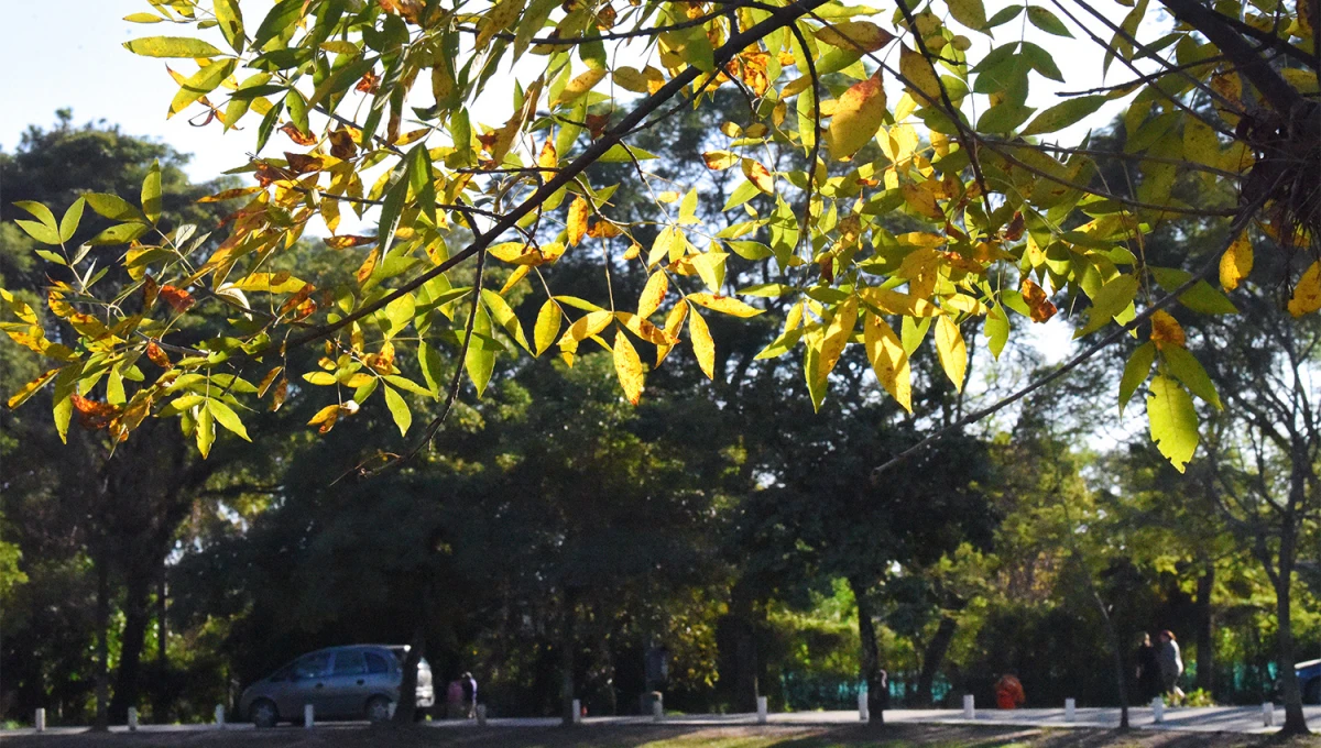 ALGO DE SOL. La jornada dominical promete una tarde algo cálida en el cierre del otoño tucumano. 
