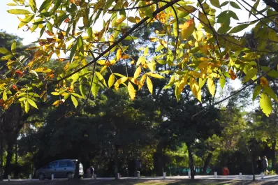 El tiempo en Tucumán: anuncian un domingo agradable y algo soleado