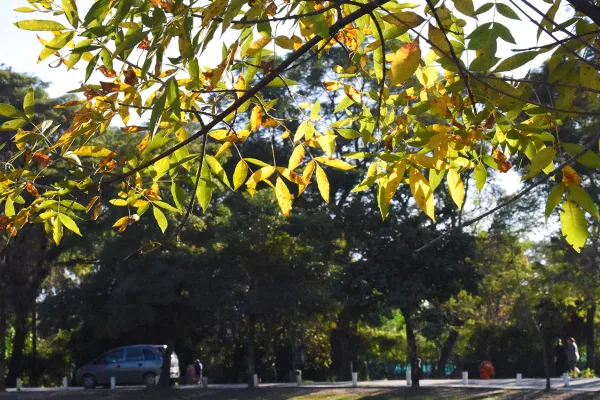 El tiempo en Tucumán: anuncian un domingo agradable y algo soleado