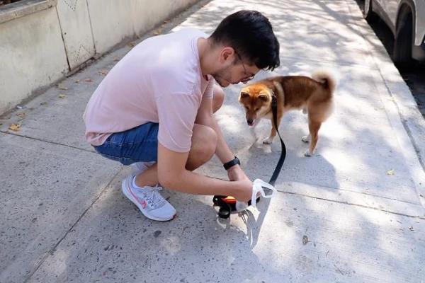 La caca de las mascotas: un grave problema de salud pública