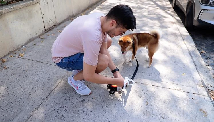 TENENCIA RESPONSABLE. Siempre hay que recoger la caca del perro.