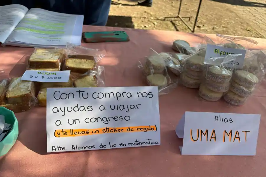 MATEMÁTICAS CON DULCE DE LECHE. Estudiantes tucumanos venden alfajores y otras exquisiteces para viajar a un congreso nacional. / LA GACETA.