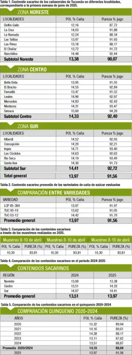 Evolución favorable del estado madurativo de la caña