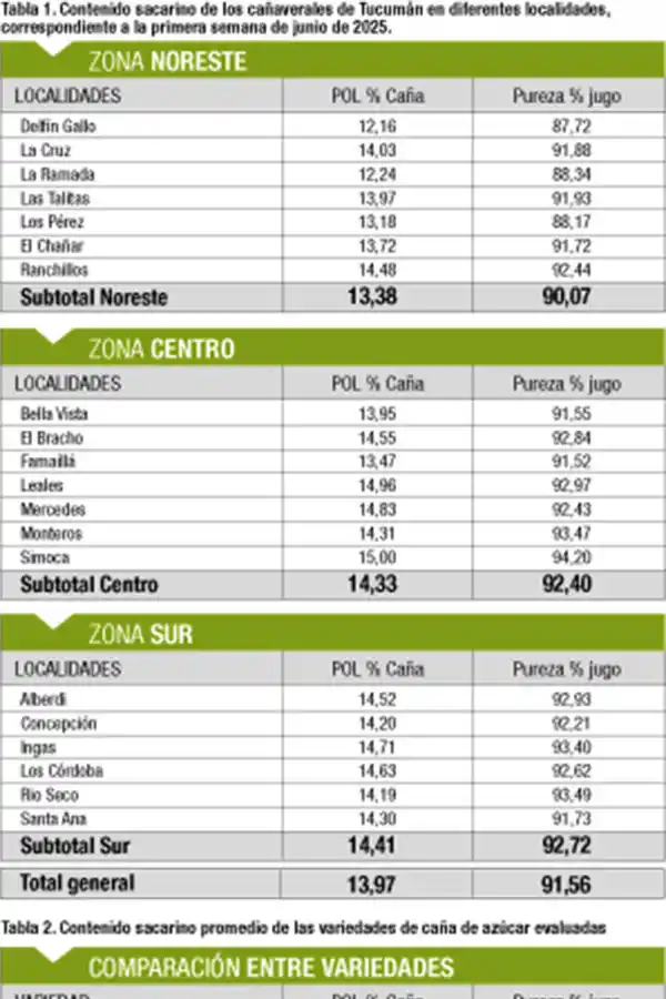 Evolución favorable del estado madurativo de la caña