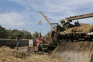 En 63 días, los ingenios tucumanos ya han molido casi 3 millones de toneladas de caña bruta