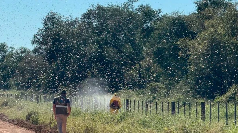AVISO. Según las condiciones meteorológicas, la llegada de la manga a territorio argentino podría ocurrir en breve.