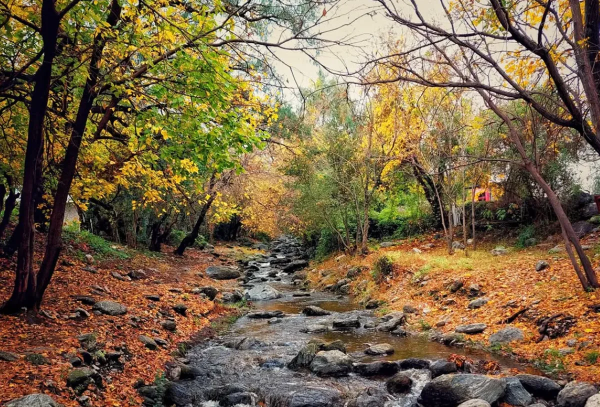 Arroyito San Javier en la localidad de Traslasierra, Córdoba.