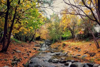Vino, bosques y caminatas: un bello pueblito cordobés para visitar en vacaciones de invierno