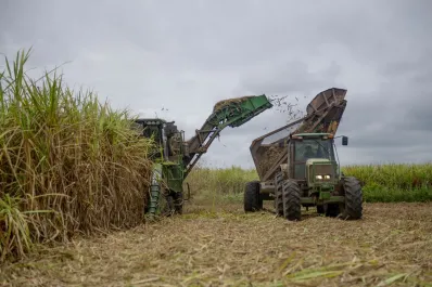 Impulso récord al financiamiento agroindustrial: el azúcar lidera el aumento en el uso de warrants
