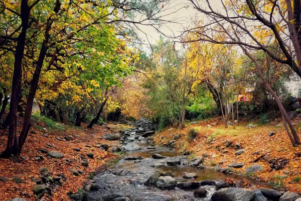 Vino, bosques y caminatas: un bello pueblito cordobés para visitar en vacaciones de invierno