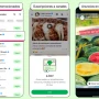 Los cambios más importantes que incorporará WhatsApp: anuncios y suscripciones pagas