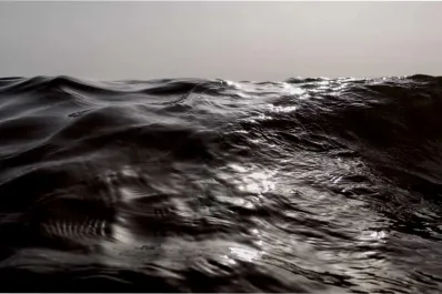 Alerta científica: los océanos se están oscureciendo y preocupa a los expertos