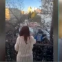 VIDEO. “El capital de Cristina es que logra captar la atención”