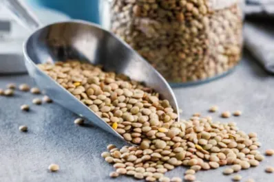 Legumbres: el alimento simple que puede reducir colesterol e inflamación