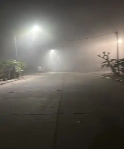 Cartas de lectores: niños en peligro