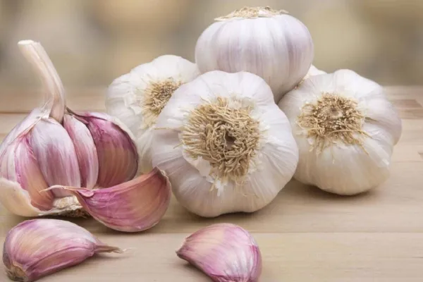 ¿Un diente de ajo al día? Los beneficios y riesgos de este antiguo remedio natural
