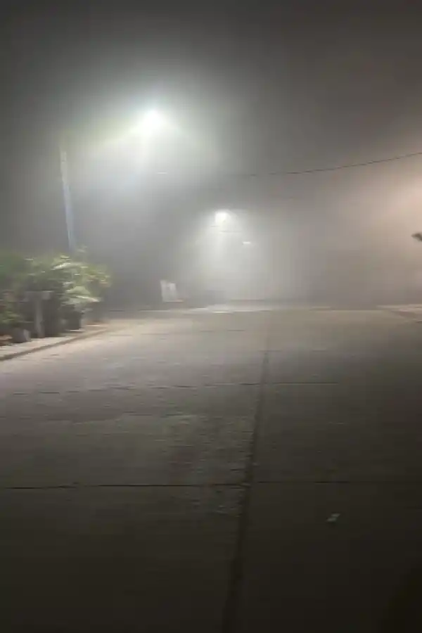 Cartas de lectores: niños en peligro