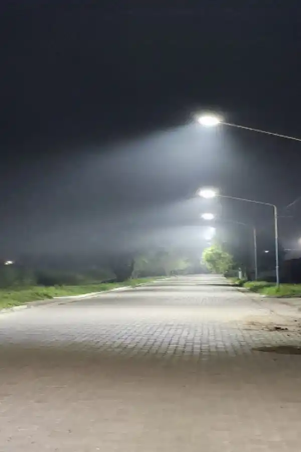 Cartas de lectores: niños en peligro