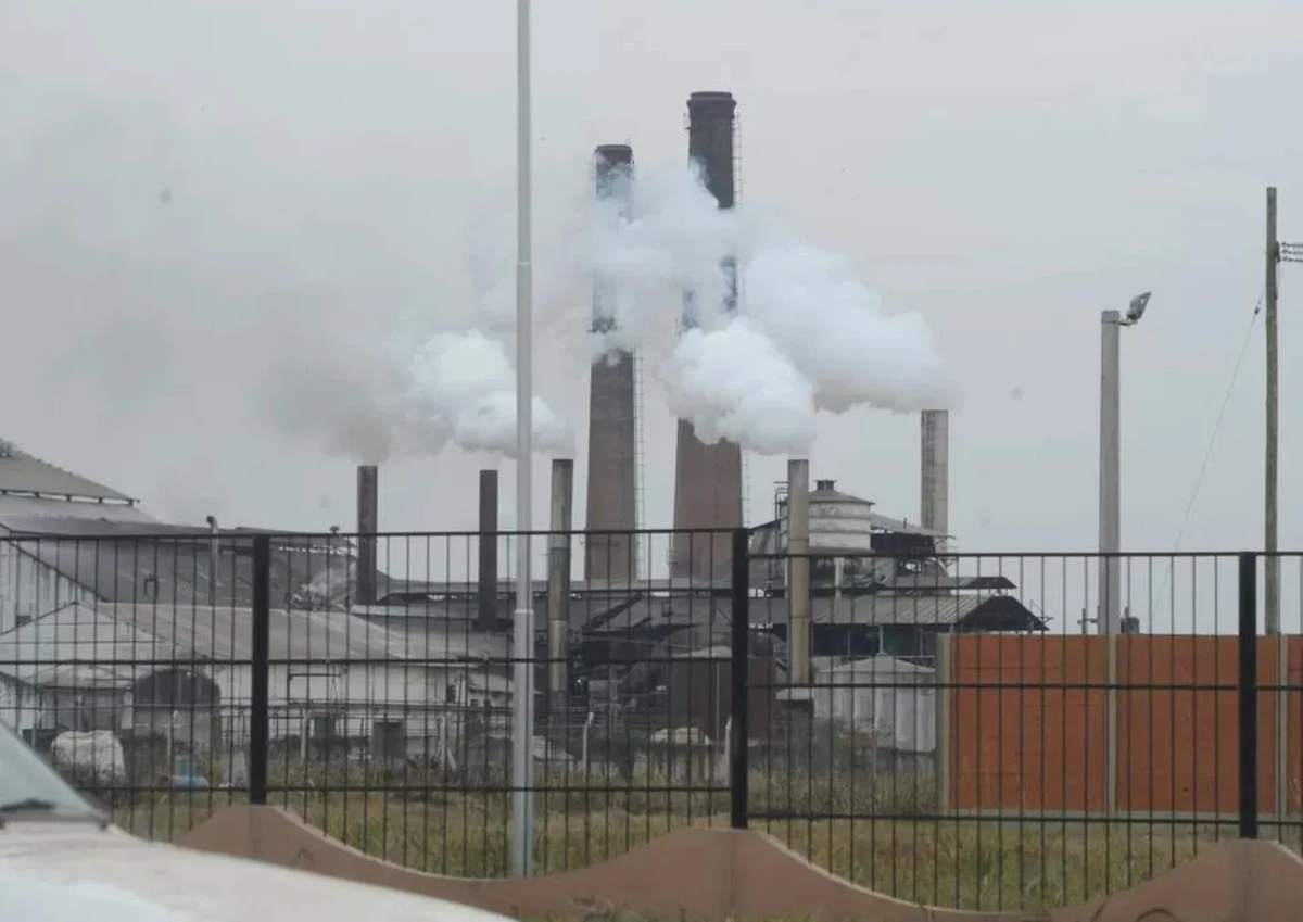 El NOA, en inmejorable lugar para acceder a mercados internacionales emergentes de azúcar