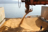 Derechos de exportación: Apronor insistió con el reclamo por el cese de las retenciones