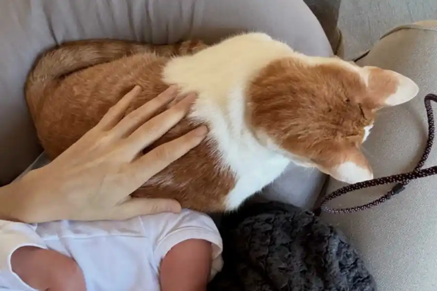 Jimena Barón fue mamá nuevamente y mostró las primeras fotos de Arturo