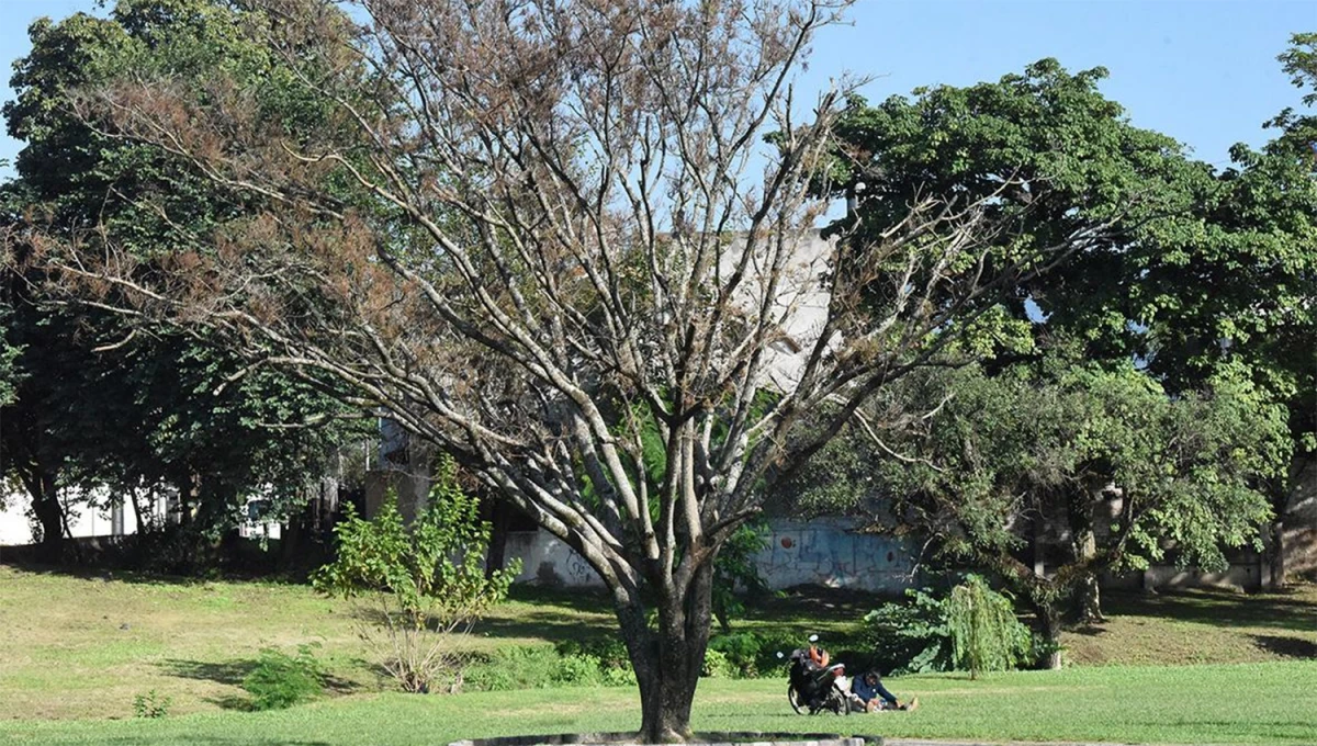 UN RATO AL SOL. El domingo tendrá las últimas horas de calidez, en el inicio del invierno en Tucumán