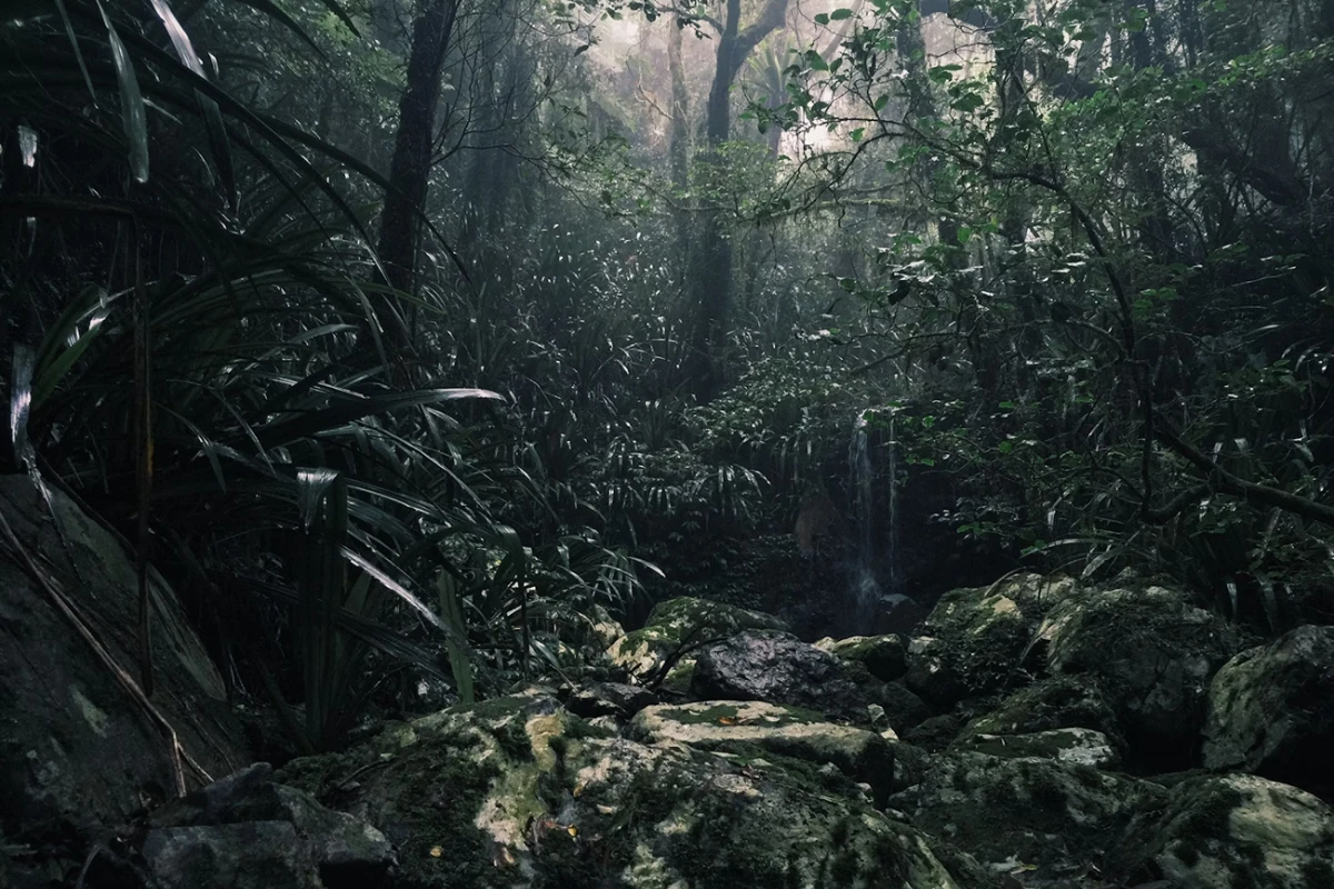 BIODIVERSIDAD. El Capibio brinda educación a los futuros investigadores de las Ciencias Naturales. / UNSPLASH