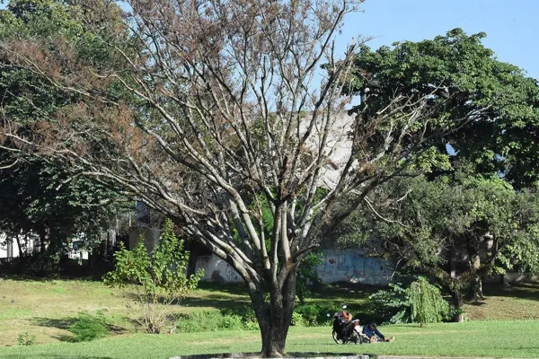 El tiempo en Tucumán: después de un domingo mayormente soleado, anuncian el ingreso de un frente frío