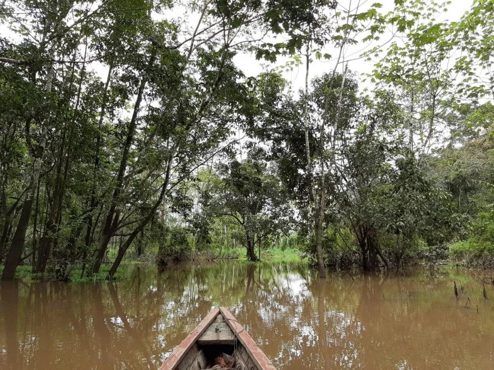 “ESE VIEJO RÍO QUE VA”. El arquitecto escribió un libro con su experiencia. fotos gentileza daniel chiummiento