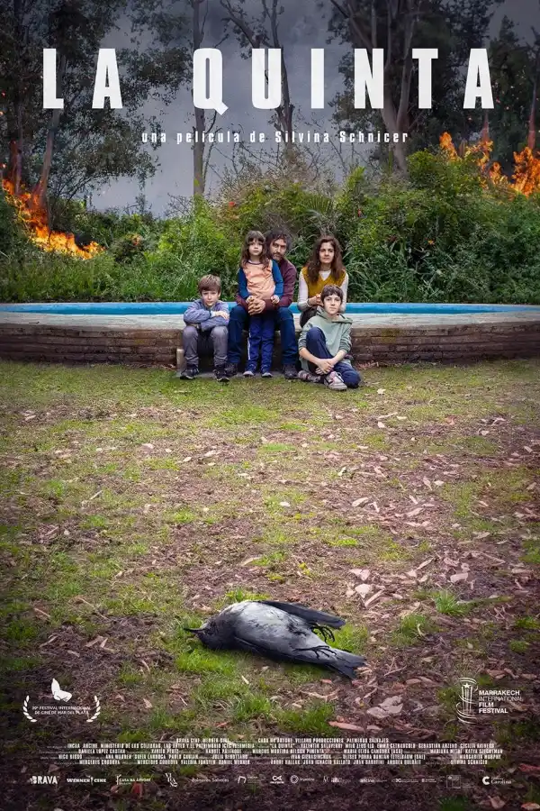 Cine en el Espacio Incaa y una obra compuesta por IA, en San Petersburgo