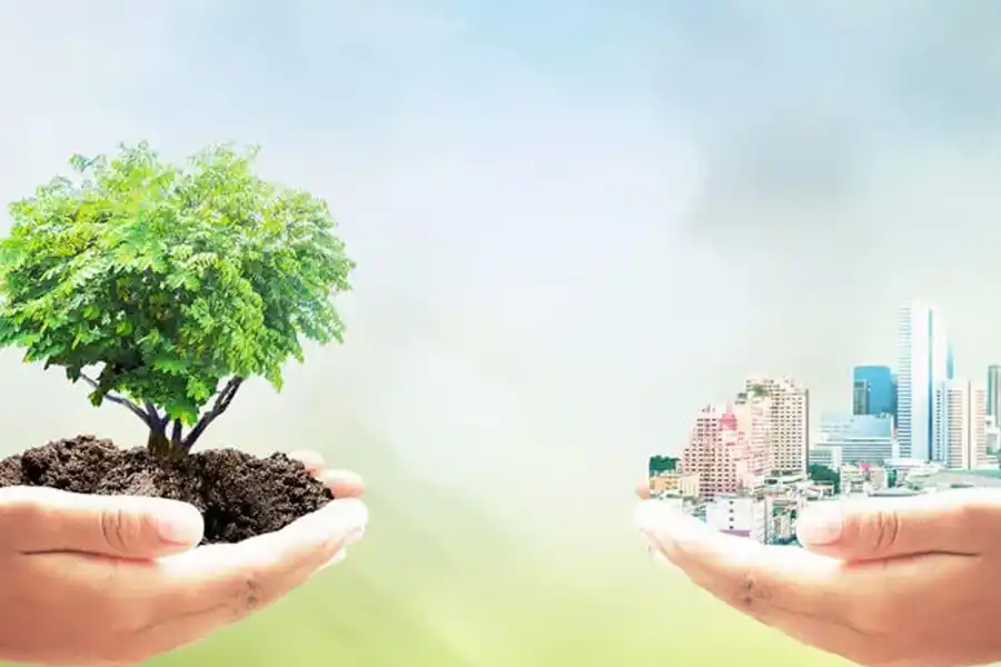 Cómo aprovechar al máximo la Experiencia Innovación Sostenible: ¿por qué es importante inscribirse antes?